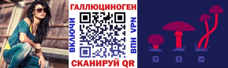площадка какой сайт  Сланцы  Галлюциногенные грибы прущие грибы  где продают  